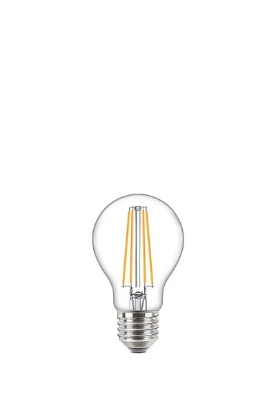 Ampoule E27 Standard - Filament - Blanc chaud - Lot de 2 - 60W