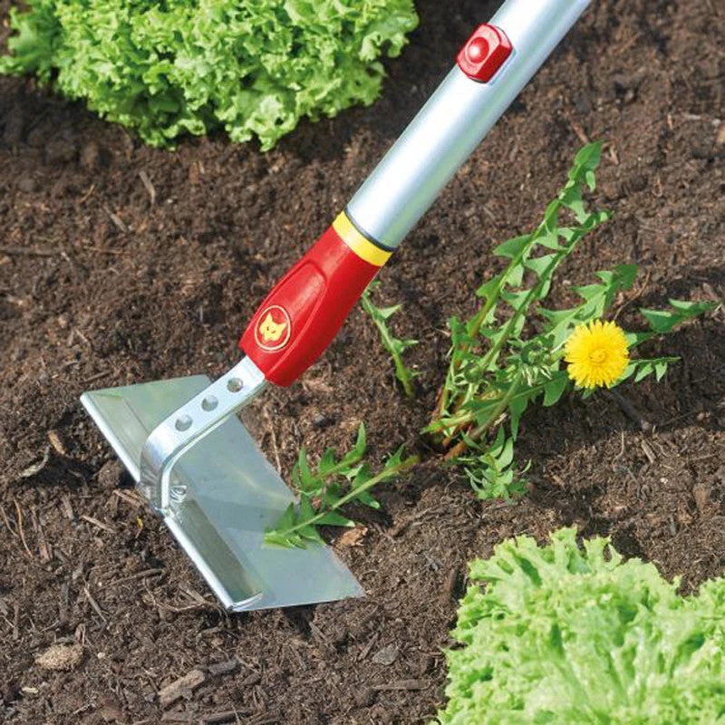 Binette 15 cm OUTILS WOLF HWM15 (manche interchangeable) - Multistar - Image 4