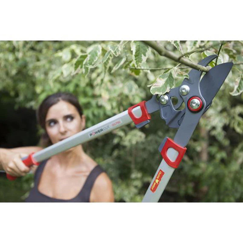 Elagueur Premium à coupe franche 45 mm OUTILS WOLF OS750 75 cm - Powercut - Image 5