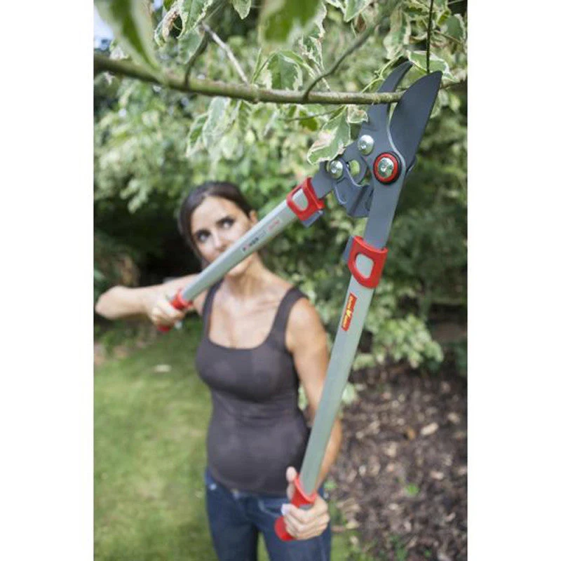 Elagueur Premium à coupe franche 45 mm OUTILS WOLF OS750 75 cm - Powercut - Image 6