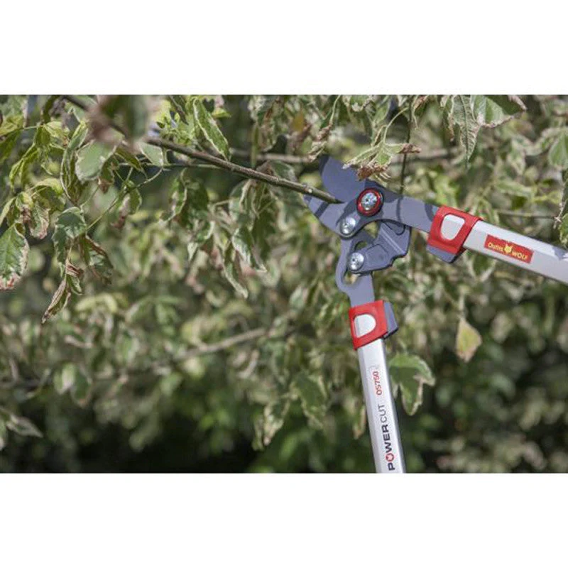 Elagueur Premium à coupe franche 45 mm OUTILS WOLF OS750 75 cm - Powercut - Image 8